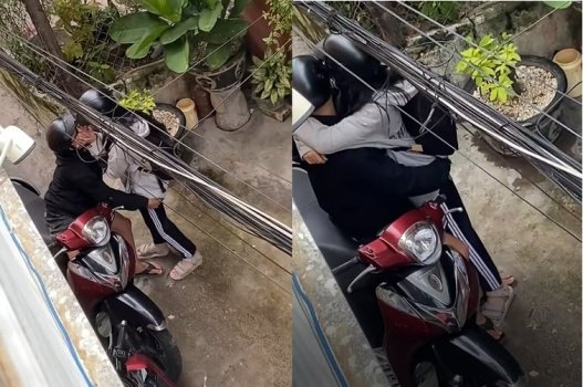 Bướm Genz thơm phức quá đi